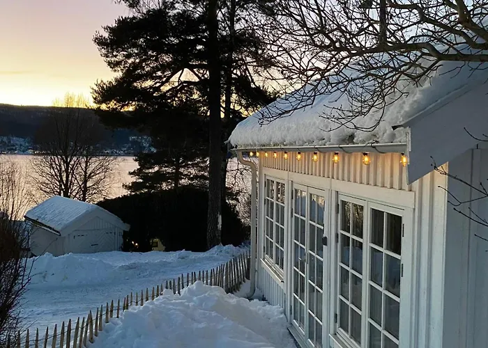 Guest house Tiny House